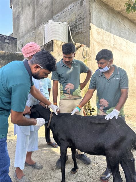 Reliance launches relief work in flood-hit Punjab; Anant Ambani says ...
