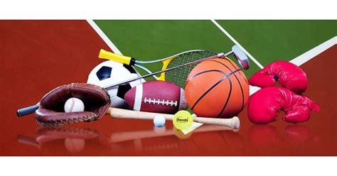Image result for Sports Program Example