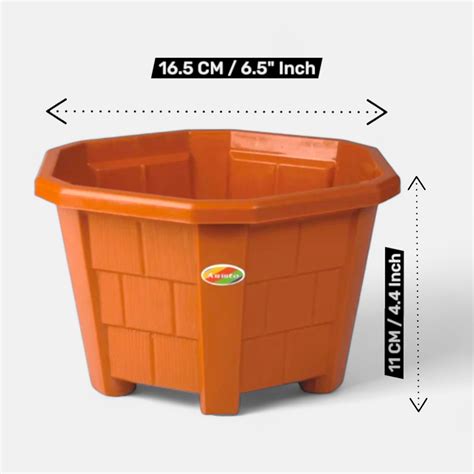Buy Hexa Planter No. 02 (Pack of 5) online at best price