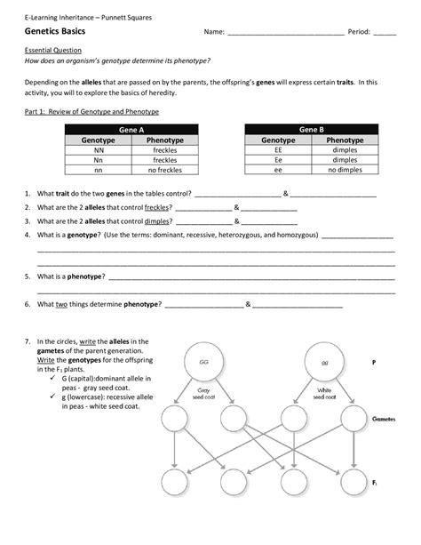 Genetics Basics 的图像结果