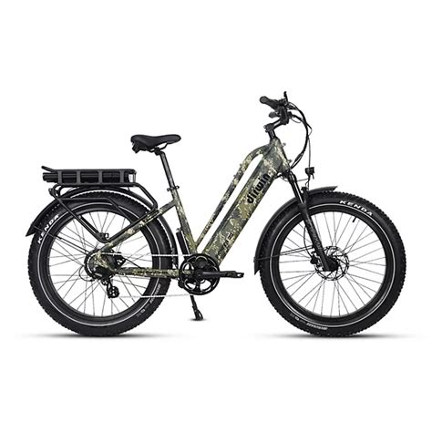 Pioneer Plus St Fat Tire E-bike