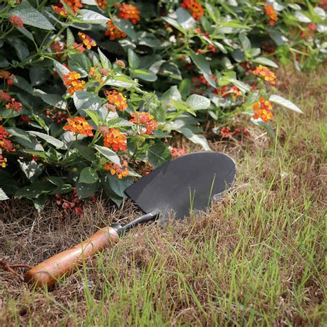 Garden Hand Shovel | At Home