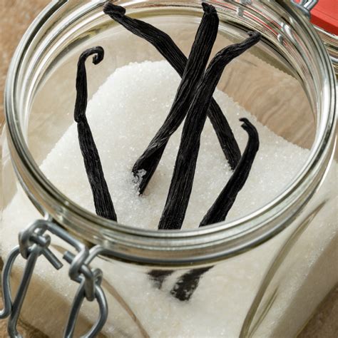What Makes a Vanilla Cake the Best – It's All About the Vanilla
