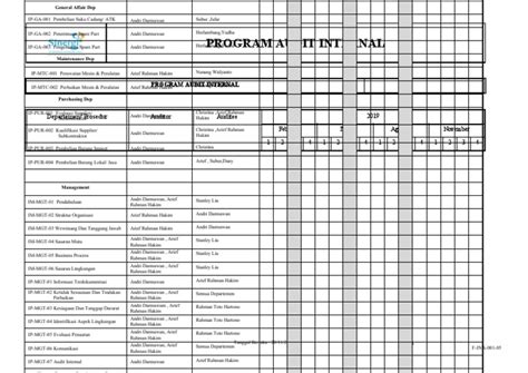Image result for Internal Audit Program Template