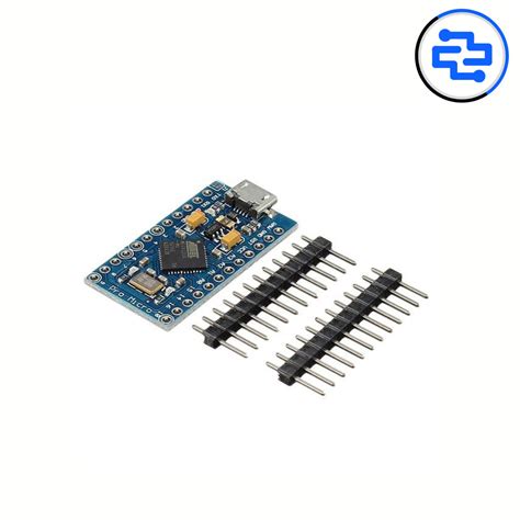 Buy Arduino Pro Micro 5V / 16Mhz Online - ₹400 | Directronics ...