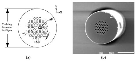 Modeling of Thermal Phase Noise in a Solid Core Photonic Crystal Fiber ...
