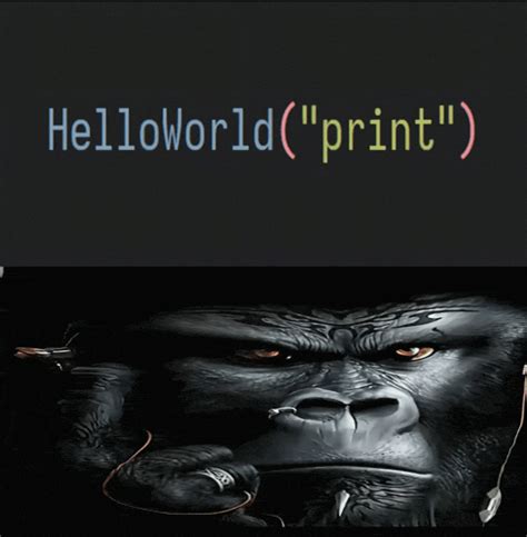 Image result for HelloWorld Meme