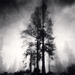 Legendary Photographers: 10 Lessons We Can Learn from Michael Kenna ...
