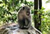 Lombok Attractions & Beaches 11 Must-See Highlights