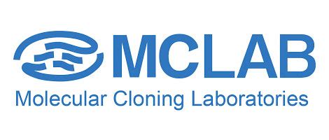 MC Lab Logo 的图像结果