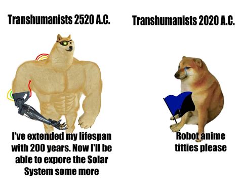 Buff Doge Meme Template