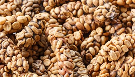 10 Most Weird Foods That People Eat From Around The World - lifeberrys.com