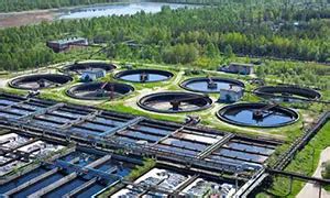 Butylated Hydroxy Anisole | BHA Manufacturer - Aarnee International