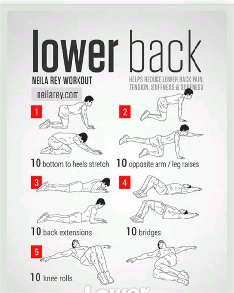 Image result for Lower Back Workout