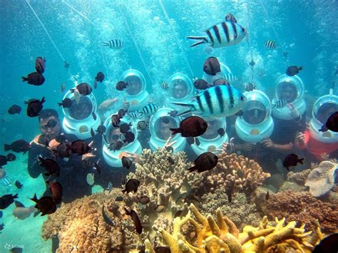 Sea Walk in Andaman: 2026 Guide for Everyone