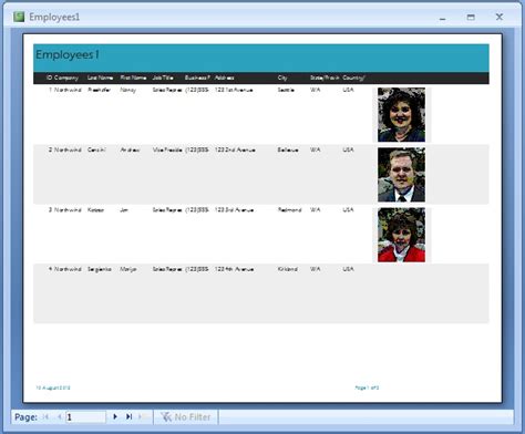 Image result for How to Create a Bitmap Image in Access