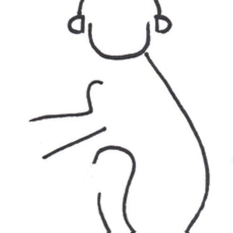 The Warren Buffett Way: 3rd Edition (Audio Download): Robert Hagstrom ...