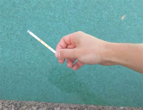 Image result for Pool Sync App