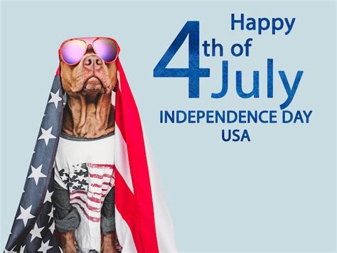 Lovable pretty brown puppy and party hat | Premium Photo