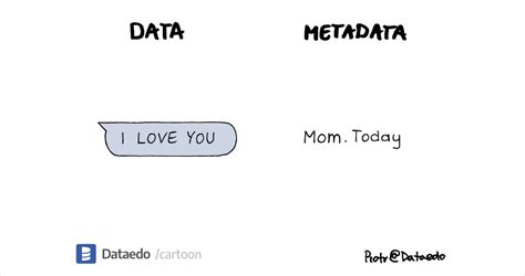 Data vs Metadata 的图像结果