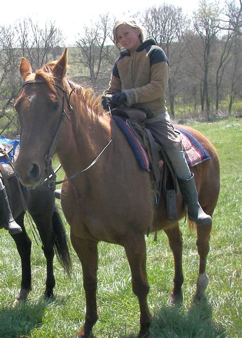 Cammie - 25 year old Quarter Horse Mare - Waverly Sales