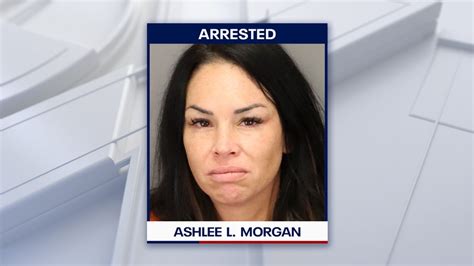 Police stop St. Pete woman from driving Range Rover into path of ...