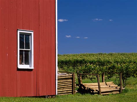 The finest wine trails around the globe | Condé Nast Traveller India ...