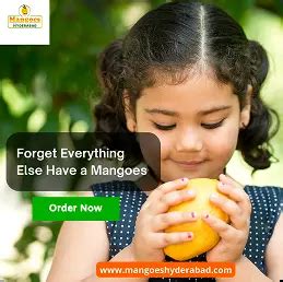 Fresh Mangoes in Hyderabad | Buy Premium Mangoes Online