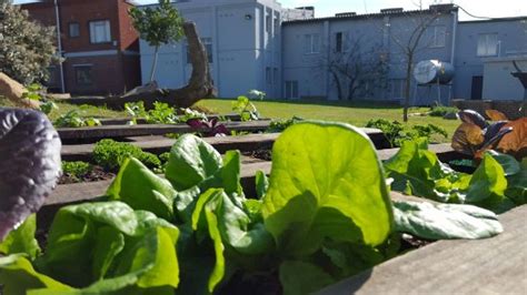 THE BACKPACK SHACK (Mossel Bay) - Hostel Reviews, Photos, Rate ...