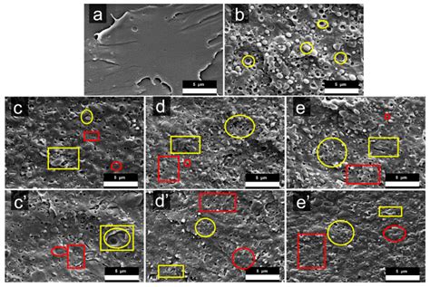 Effect of Different Compatibilizers on the Properties of Poly (Lactic ...