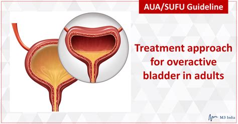 Diagnosis and treatment of overactive bladder (Non-Neurogenic)
