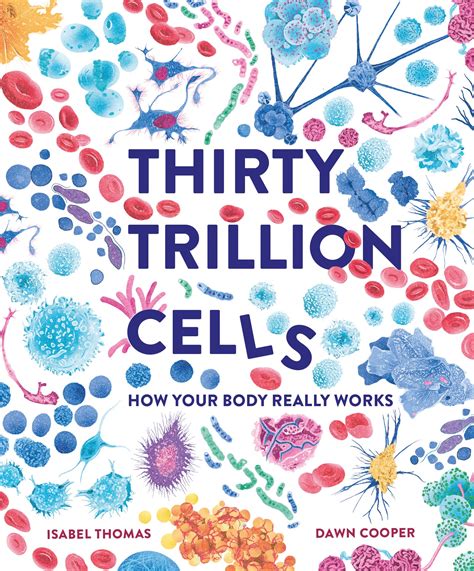 Thirty Trillion Cells: How Your Body Really Works by Isabel Thomas ...