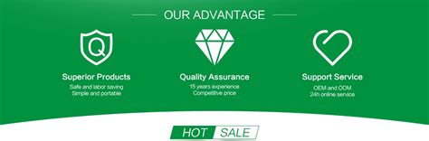 Company Overview - Taizhou Lvqingting Sprayer Co., Ltd.