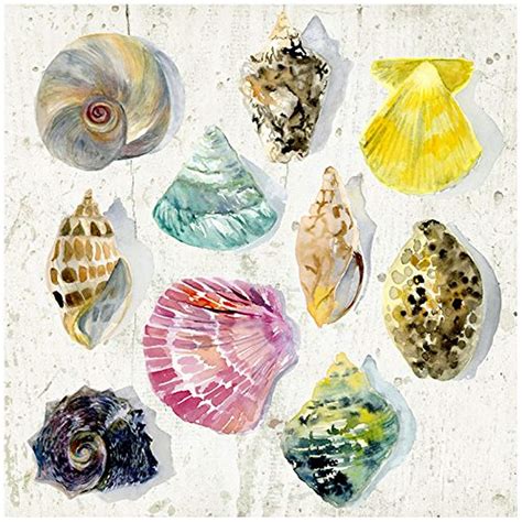 GreenBox - Seaside Sea Shells 18x18 canvas Wall Art, by Shannon Newlin ...