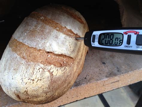 Whole Wheat Bread Temperature at Mackenzie Boehm blog