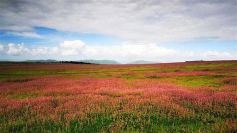 A quick guide to Kaas plateau | Condé Nast Traveller India