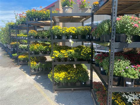 RURAL KING - 2960 E 10th St, Jeffersonville IN - Hours, Directions, Reviews - Loc8NearMe