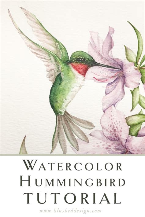 Image result for How to Paint Hummingbirds Tutorials
