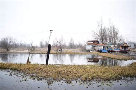 A Resort For Birds in Kashmir