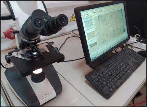 Image result for Microscope Optique