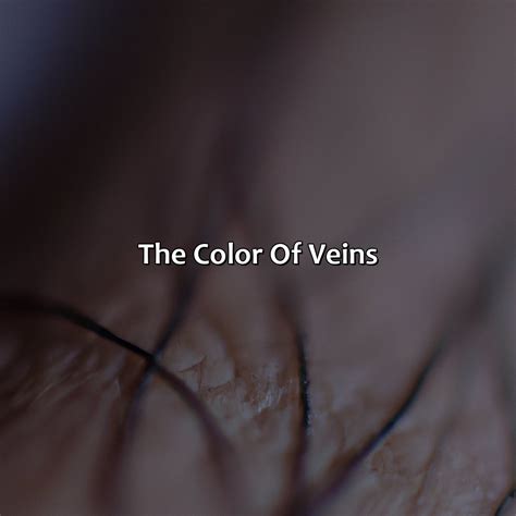 What Color Are Veins - colorscombo.com