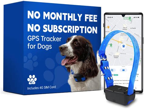 Amazon.com: Pitpat Dog GPS Tracker - No Subscription Fees - Suitable for All Dogs and Fits All ...