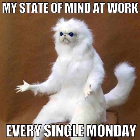 25 Best Monday Memes For Work To Kickstart Your Workweek