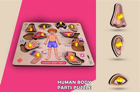 KIDACIOUS Best Sale Human Body Parts Puzzle Games Learning Educational ...