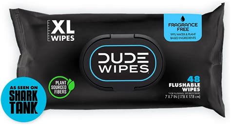 Amazon.com: DUDE Wipes - Flushable Wipes - 1 Pack, 48 Wipes - Unscented ...