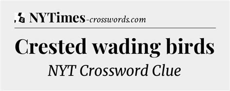 Crested wading birds NYT Crossword Clue