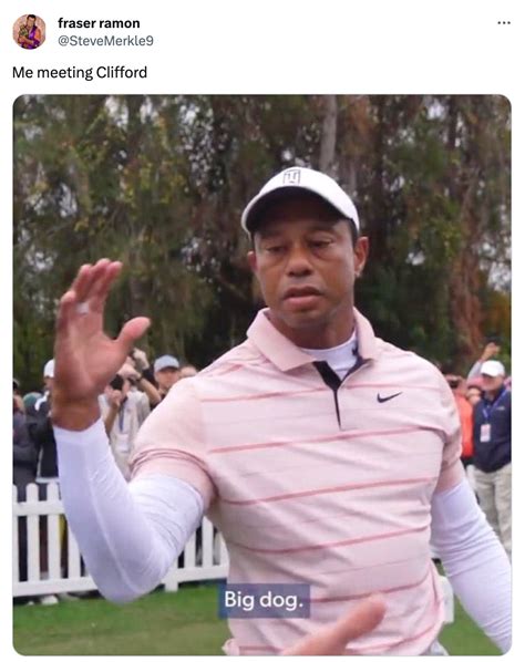 Best Of The Tiger Woods 'Big Dog' Meme Taking Over The Internet