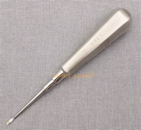 Dental Tooth Root Tip Extraction Elevators | Ubuy India