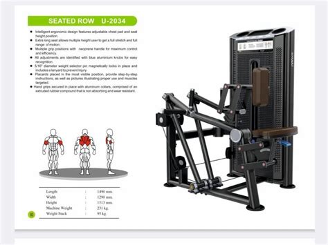Iso Seated Row - Vertical Row Machine Wholesaler from New Delhi