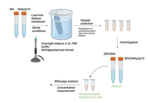 Image result for Dialysis Procedure Step by Step
